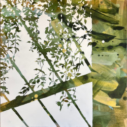 copy of copy of copy of First Light 1