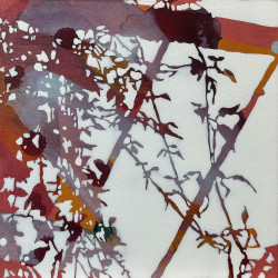 copy of copy of First Light 1