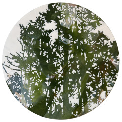 copy of copy of copy of copy of copy of First Light 1