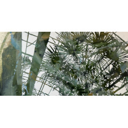 copy of copy of copy of First Light 1