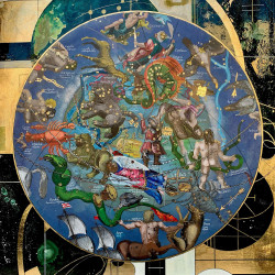 Cellarius Harmonia macrocosmica BOREALIS